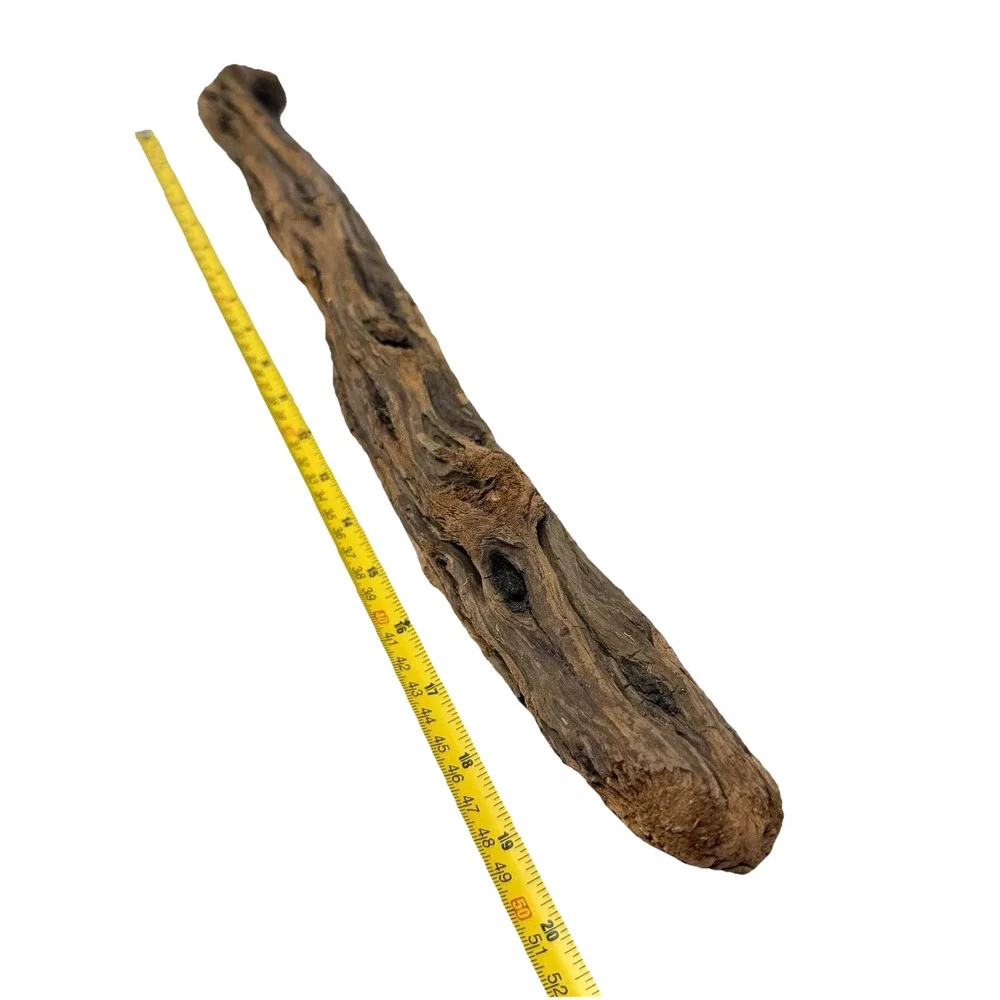 Tall California Driftwood Stick with Deep Grain & Natural Curves – Coastal Decor
